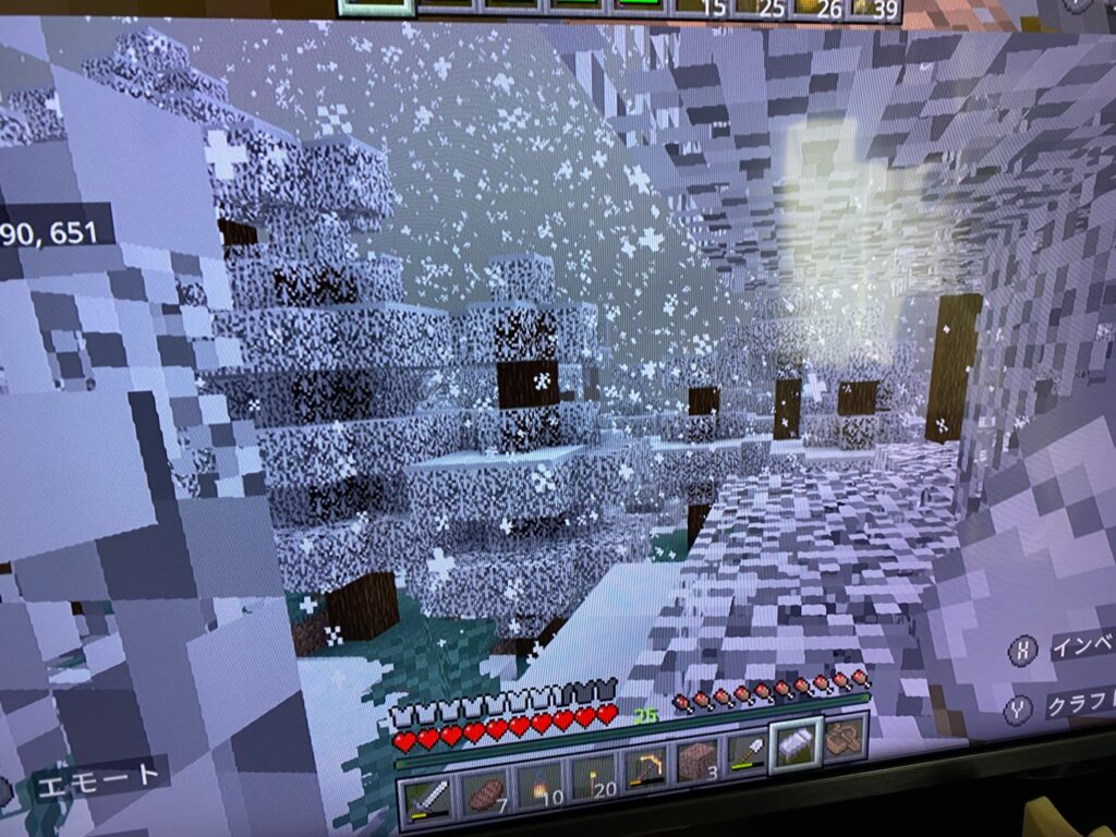 雪のバイオーム