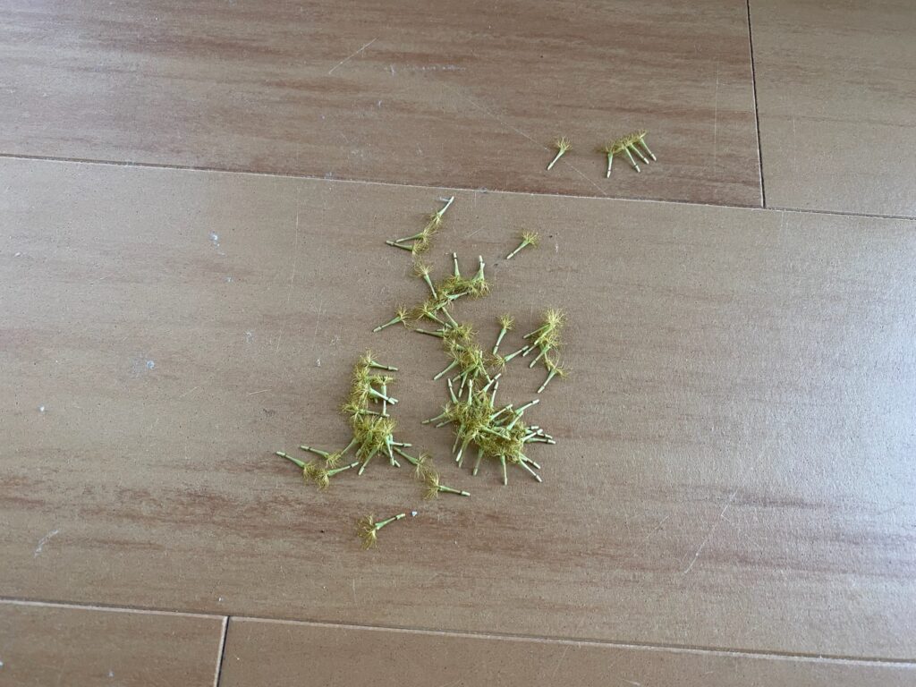 エバーフレッシュの花咲いた後